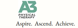 A3 Physical Therapy and Wellness