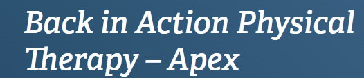 Back in Action Physical Therapy