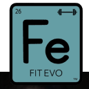 Fit Evo