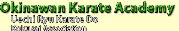 Okinawan Karate Academy