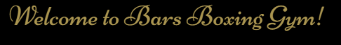 Bars Boxing