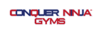Conquer Ninja Gyms
