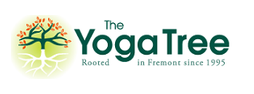 Yoga Tree