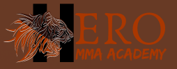 Hero MMA Academy