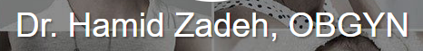 Hamid Zadeh MD