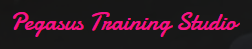 Pegasus Training Studio