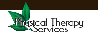 Physical Therapy Services