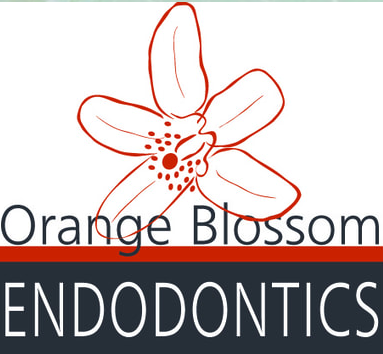 Orange Blossom Endodontics