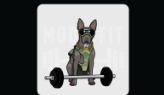 ModelFit