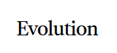 Evolution Physical Therapy