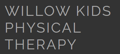 Willow Kids Physical Therapy