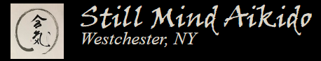 Aikido Scarsdale