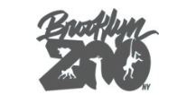 Brooklyn Zoo