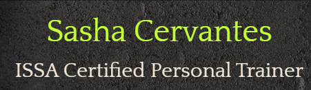 Body By Sasha Mobile Gym & Fitness