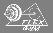 Flex Gym - Virginia Beach