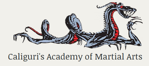 Academy of Martial Arts