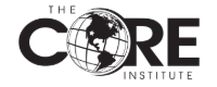 The CORE Institute
