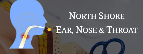 North Shore Ear Nose and Throat