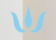 Michael Suplicki  DC