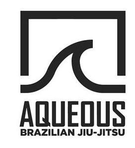 Aqueous Brazilian Jiu Jitsu and Fitness Center