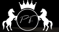 Prestige Therapeutic Fitness