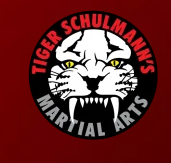 Tiger Schulmann's Martial Arts
